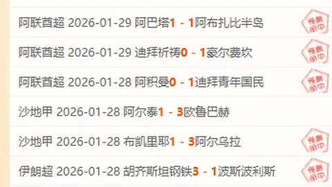 恩昆库领衔切尔西大胜南安普顿：四人建功，库库雷利亚与恩佐表现抢眼